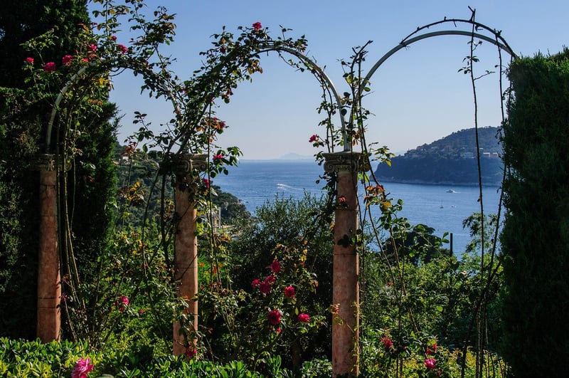 Trellis System